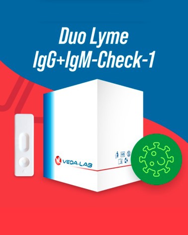 DUO LYME IgG+IgM-Check-1